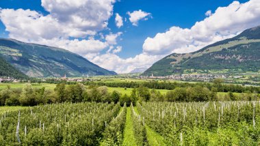 Val Venosta, Vinschgau, Alto Adige, Italy. View over Mals in South Tyrol, Italy near the border to Austria and Switzerland clipart
