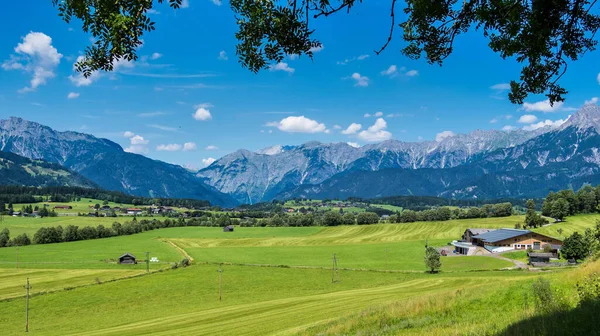 Saalfelden bölgesindeki Avusturya Alplerinde sonbahar manzarası. Salzburg 'da Zell am Bölgesi..