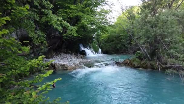 克罗地亚Plitvice湖国家公园的瀑布与绿松石水壮观的景色 克罗地亚最古老和最大的国家公园之一 教科文组织世界遗产 — 图库视频影像
