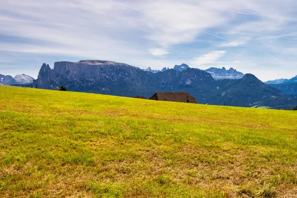 Piękny Widok Góry Południowym Tyrolu Mieszaną Sosną Lasem Liściastym Region — Zdjęcie stockowe