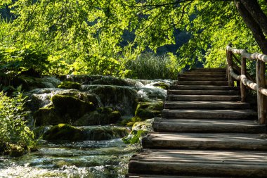Hırvatistan 'ın Plitvice Ulusal Parkı' ndaki ahşap yol. Hırvatistan 'ın en eski ve en büyük ulusal parklarından biri. 1979 yılında UNESCO Dünya Mirası 'na eklendi.