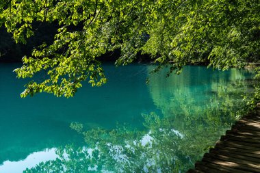 Hırvatistan 'daki Plitvice Gölleri Ulusal Parkı' nın güzel manzarası. Hırvatistan 'ın en eski ve en büyük ulusal parklarından biri. 1979 yılında UNESCO Dünya Mirası 'na eklendi.