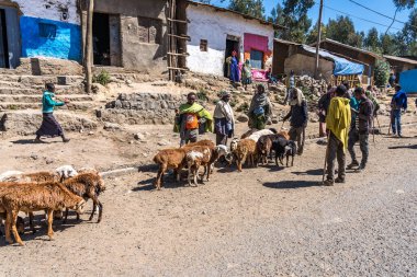 Gondar, Etiyopya - 07 Şubat 2020: Gondar 'dan Simien dağlarına giden yolda Etiyopya halkı, Kuzey Etiyopya, Afrika.