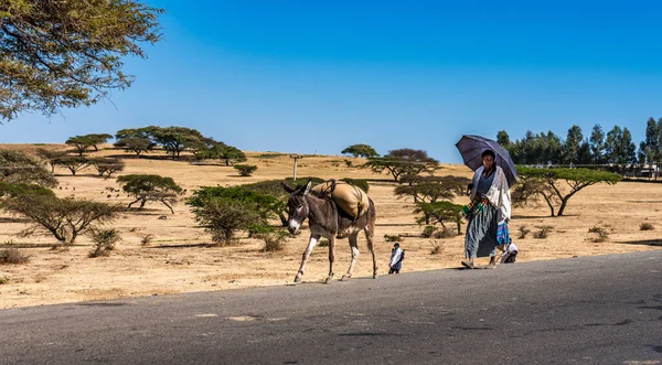 Gondar Ethiopia February 2020 Ethiopian People Road Gondar Simien Mountains — 图库照片