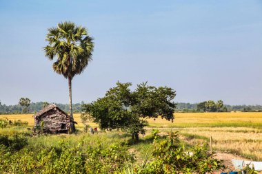 Pindaya 'daki Myanmar kırsalının manzarası, eski Burma, Asya