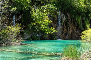 Hırvatistan 'daki Plitvice Gölleri Ulusal Parkı' nın güzel manzarası. Hırvatistan 'ın en eski ve en büyük ulusal parklarından biri. 1979 yılında UNESCO Dünya Mirası 'na eklendi.