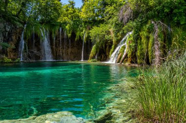 Hırvatistan 'ın Plitvice Gölleri Ulusal Parkı' nda turkuaz suyla şelalenin görkemli manzarası. Avrupa. Hırvatistan 'ın en eski ve en büyük ulusal parklarından biri. UNESCO Dünya Mirası