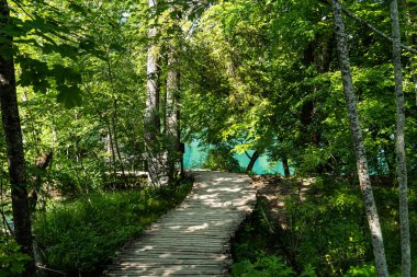 Wooden path in Plitvice National Park, Croatia. One of the oldest and largest national parks in Croatia. In 1979 it was added to the UNESCO World Heritage register clipart