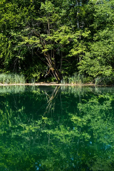 Schöne Landschaft Nationalpark Plitvicer Seen Kroatien Einer Der Ältesten Und — Stockfoto