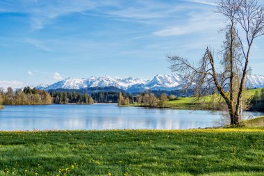 Allgaeu, Bavyera, Almanya 'da Rückholz köyü yakınlarındaki sonbahar manzarası.