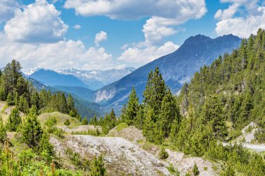 Ofenpass yolu, Fuorn geçidi Val Mustair vadisinde Kanton Grisons, Graubunden, İsviçre.