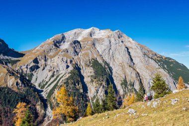 Ahornboden 'daki akçaağaç ağaçlarının sonbahar manzarası, Karwendel dağları, Tyrol, Avusturya