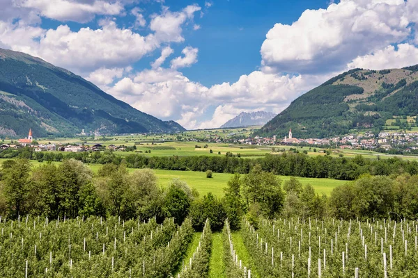 Val Venosta Vinschgau Alto Adige Italie Vue Sur Mals Tyrol — Photo