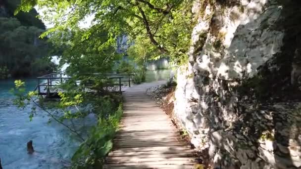 Dřevěná Stezka Národním Parku Plitvice Chorvatsko Jeden Nejstarších Největších Národních — Stock video