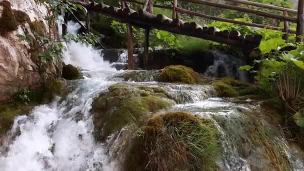 Majestuosa Vista Cascada Con Agua Turquesa Parque Nacional Los Lagos — Vídeos de Stock