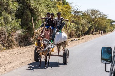 Lalibela, Etiyopya - 12 Şubat 2020: Etiyopya halkı Lalibela 'dan Gheralta' ya, Tigray Kuzey Etiyopya, Afrika 'da görüldü