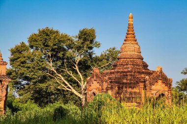 Myanmar 'daki Bagan tapınakları ve pagodaları, eski Burma, Asya' daki bir dünya mirası bölgesi.