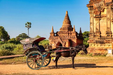 Myanmar, Bagan 'da bir Pagoda' nın önünde at arabası, eski Burma, Asya 'da bir dünya mirası bölgesi.