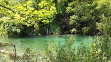 Hırvatistan 'ın Plitvice Gölleri Ulusal Parkı' nda turkuaz suyla şelalenin görkemli manzarası. Avrupa. Hırvatistan 'ın en eski ve en büyük ulusal parklarından biri. UNESCO Dünya Mirası