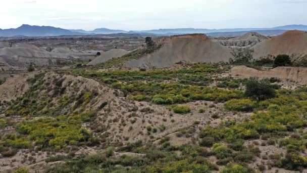Spanya Nın Murcia Bölgesindeki Campules Daki Çorak Topraklar — Stok video