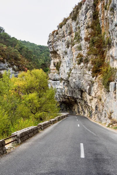 Verdon Gorge, Gorges du Verdon, Fransız Alpleri, Provence, Fransa 'da turkuaz yeşili kıvrımlı nehir ve yüksek kireçtaşı kayalarıyla ünlü kanyonun muhteşem manzarası.
