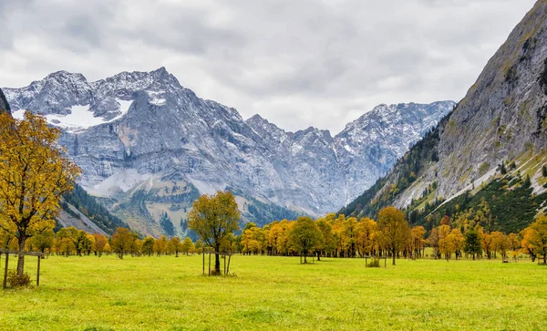 Vue Automne Des Érables Ahornboden Montagnes Karwendel Tyrol Autriche — Photo