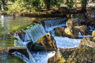 isar 'ın suyu yeşil yosun kayalarının üzerine dökülüyor ve etrafı uzun yeşil ağaçlarla çevrili, İngiliz Bahçesi, Münih, Almanya.