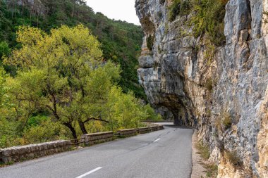 Verdon Gorge, Gorges du Verdon, Fransız Alpleri, Provence, Fransa 'da turkuaz yeşili kıvrımlı nehir ve yüksek kireçtaşı kayalarıyla ünlü kanyonun muhteşem manzarası.