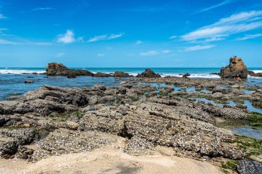 Jericoacoara, Brezilya - 25 Ocak 2025: Zafer Sahili, Praia da Vitoria Jijoca de Jericoacoara, Ceara, Brezilya