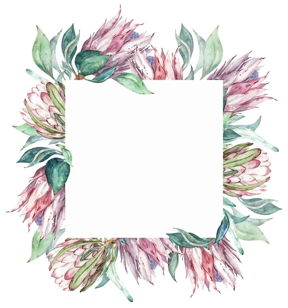 Square pink protea frame. Watercolor exotic floral illustration.