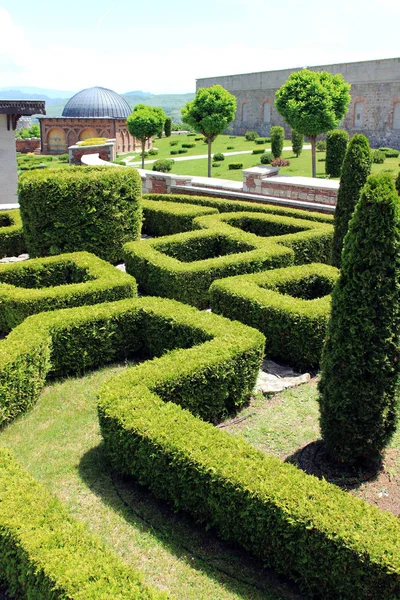 Green trimmed bushes in the form of a labyrinth of plants. Thuja bush. Geometric landscape design. Fortress Rabati, Georgia, Akhaltsikhe.