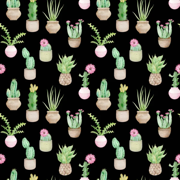 Watercolor seamless pattern of potted tropical cactuses. Indoor design. Home decoration background.