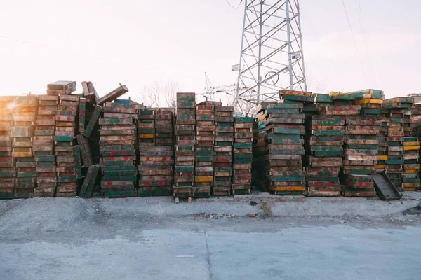 Beijing, Çin - 21 Aralık 2014: renkli kasa büyük bir pazarda ahşap palet üzerinde yığılmış. owerns adını gösterilen paletler