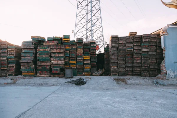 Beijing, Çin - 21 Aralık 2014: renkli kasa büyük bir pazarda ahşap palet üzerinde yığılmış. owerns adını gösterilen paletler