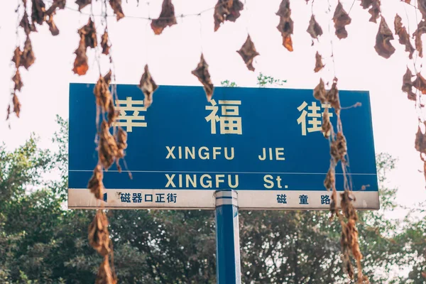 Chinese Road Sign Named Happinese Street — Stock Photo, Image