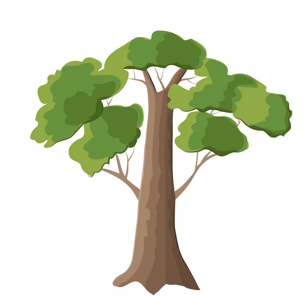 Oak Tree White Background — Stock Vector