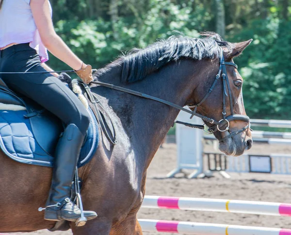 Esporte Equestre Curso Curativo — Fotografia de Stock