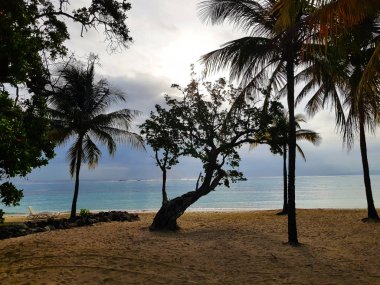 Jamaika Karayip plaj beyaz kum ve turkuaz su