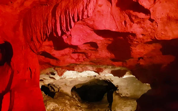 Grotte Chauve Souris Jamaïque — Photo