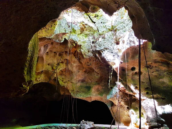 Grotte Chauve Souris Jamaïque — Photo