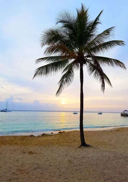 Sable Blanc Eau Turquoise Sur Plage Des Caraïbes Jamaïque — Photo