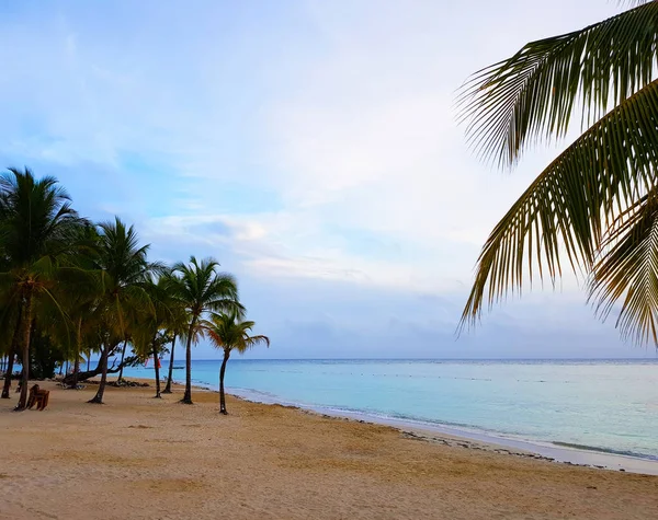 Białym Piaskiem Turkusową Wodą Karaibskiej Plaży Jamajka — Zdjęcie stockowe