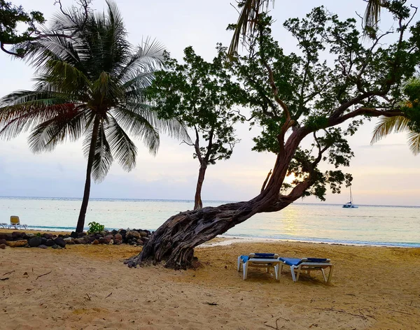 White Sand Turquoise Water Caribbean Beach Jamaica — Stock Photo, Image