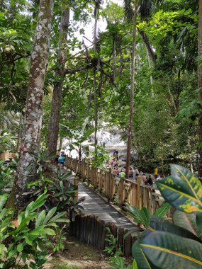 Dunn River Falls Ocho Rios, Jamaika şelaleler vardır
