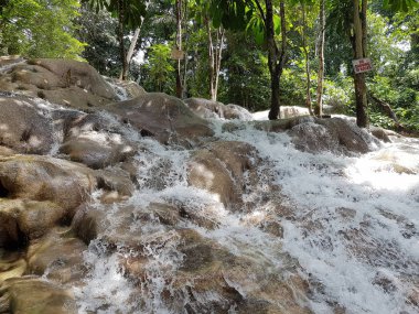 Dunn River Falls are waterfalls in Ocho Rios, Jamaica clipart