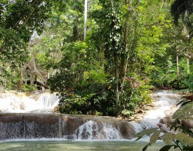 Dunn River Falls are waterfalls in Ocho Rios, Jamaica clipart