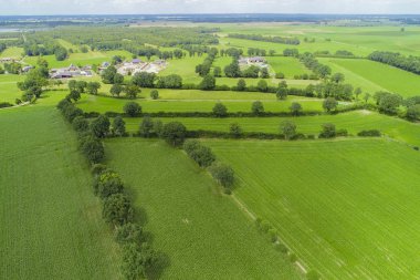 Drone Uçuş ve Mısır alanın üzerinde havadan görünümü