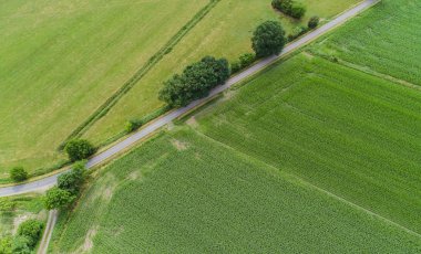 Drone Uçuş ve Mısır alanın üzerinde havadan görünümü