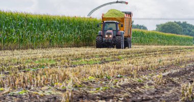 Mısır hasadı, mısır tarlası hasat aracı, traktörlü hasat kamyonu.
