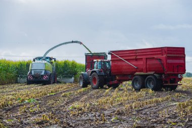 Mısır hasadı, mısır tarlası hasat aracı, traktörlü hasat kamyonu.